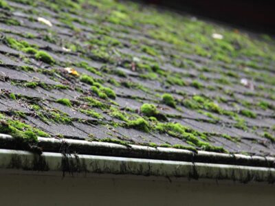 Owlsmoor roof cleaning