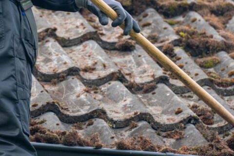 Camberley & Yateley Roof Moss Removal Experts