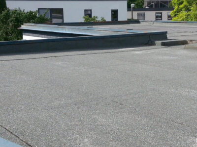 Fleet flat roof skylight