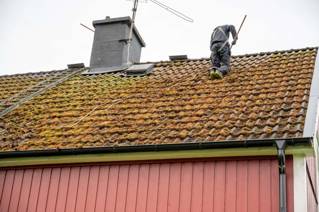 Roof moss removal Roof moss removal services Camberley & Yateley